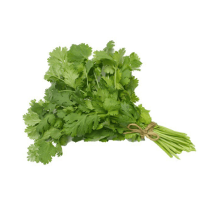 Fresh Cilantro